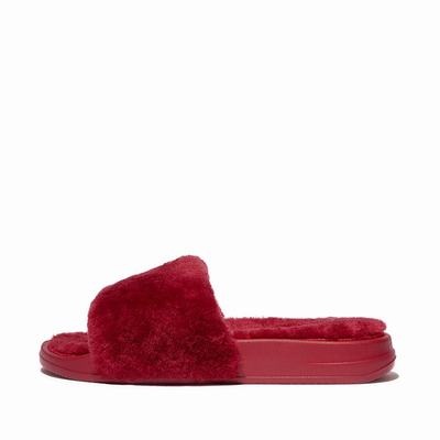 Women's Fitflop IQUSHION Shearling Slippers Red | Ireland-18546