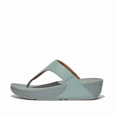 Women's Fitflop LULU Leather Toe-Post Sandals Blue | Ireland-19476