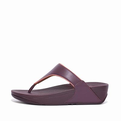 Women's Fitflop LULU Pop Binding Toe-Post Sandals Purple | Ireland-68912