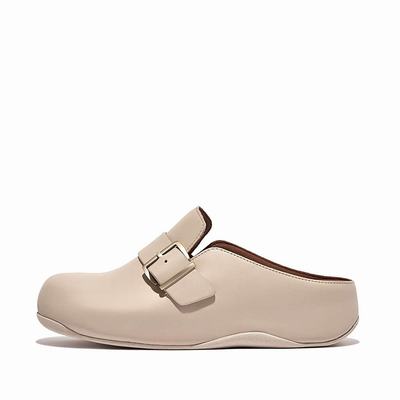 Women's Fitflop SHUV Buckle Strap Leather Clogs Grey Beige | Ireland-28607