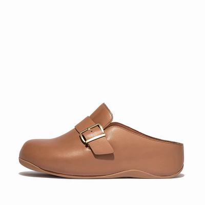 Women's Fitflop SHUV Buckle Strap Leather Clogs Brown | Ireland-93562