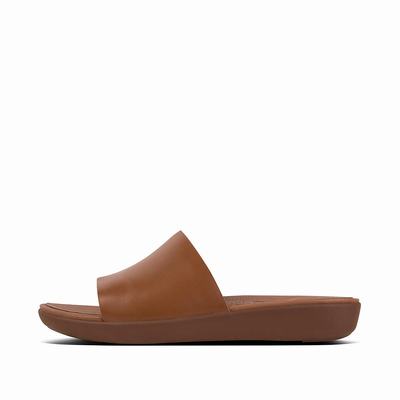 Women's Fitflop SOLA Leather Slides Sandals Brown | Ireland-32981