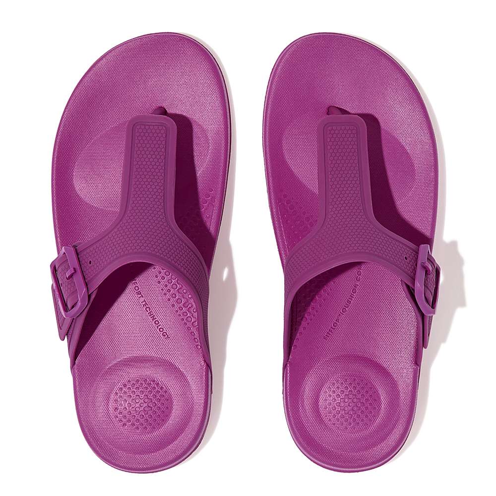 Women's Fitflop IQUSHION Adjustable Buckle Flip Flops Purple | Ireland-12096