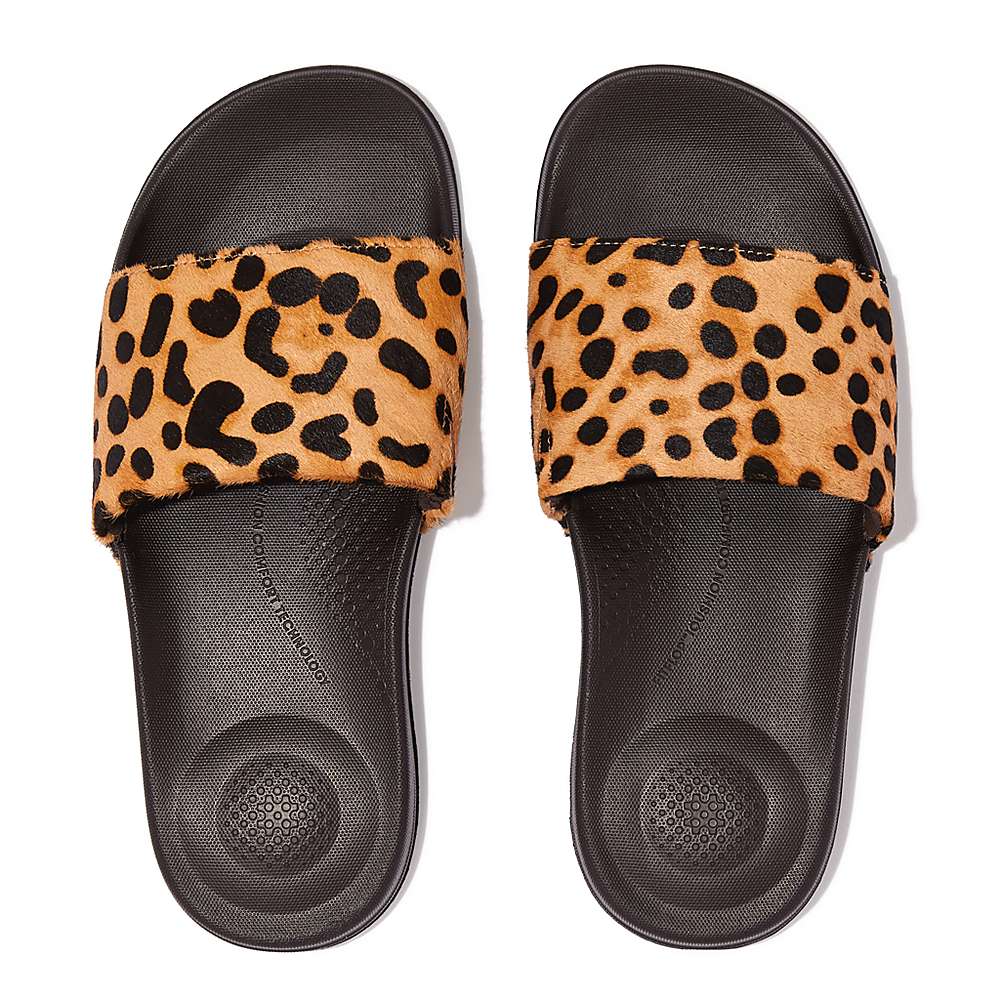 Women's Fitflop IQUSHION Leopard-Print Leather Slides Slides Leopard | Ireland-46021