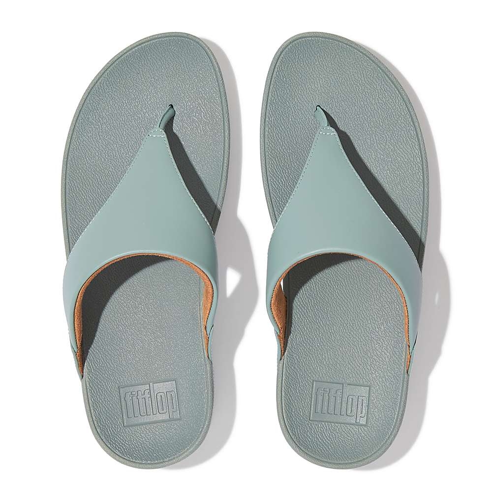 Women's Fitflop LULU Leather Toe-Post Sandals Blue | Ireland-19476