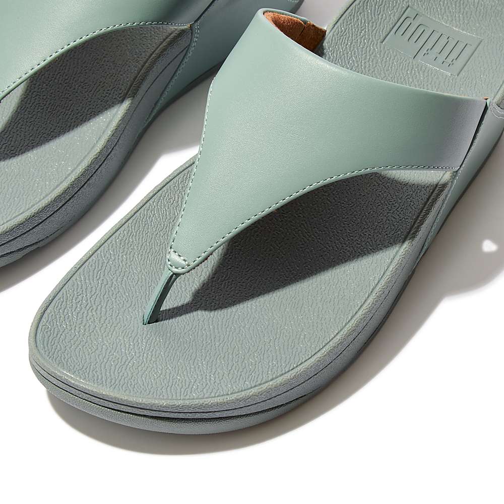 Women's Fitflop LULU Leather Toe-Post Sandals Blue | Ireland-19476