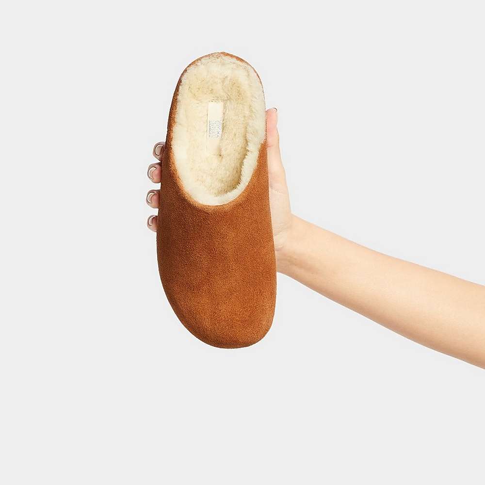 Women's Fitflop SHUV Shearling-Lined Suede Clogs Light Brown | Ireland-53219